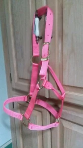 Dumor Halter Classic Halter rosa brillante - potro caballo Yearling (300-500 libras) - Imagen 1 de 5