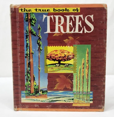 The True Book Of Trees by Illa Podendorf 1954 Vintage Picture Book Nonfiction - Image 1 of 4