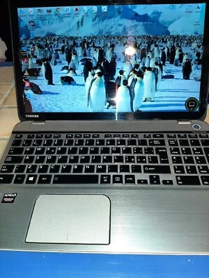 TOSCHIBA-SATELLITE-P50-B-115-1TB - Immagine 1 di 2