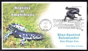 Amphibian Blue-Spotted Salamander Stamp Ksc First Day Cover Fdc B8186