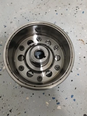 Honda cbr600f4i CBR 600 2002 rotor embrague de arranque magnético Foto 1 de 2