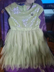 Authentic Disney Store Tiana / Princess and the Frog, dress. Never worn. - Picture 1 of 4