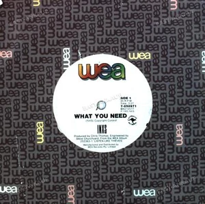 INXS - What You Need 7in 1985 (VG+/VG+) ' - Picture 1 of 1