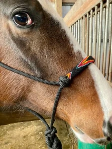 New Showman Cowboy Knot Black Rope Horse Halter Beaded Design Noseband 4351 - Picture 1 of 4