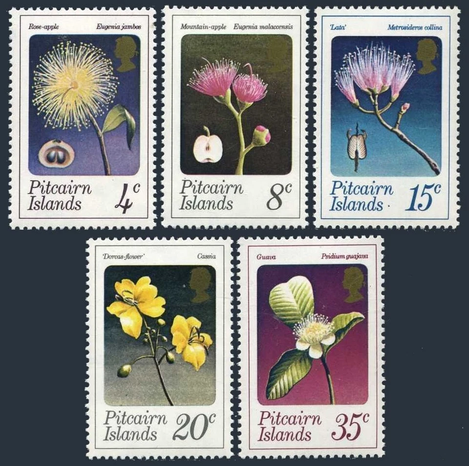 Pitcairn 130-134,MNH.Michel 130-134. Flowers 1973.Rose apple,Lata,Cassia,Guava. - Image 1 of 1