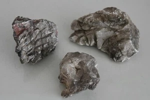 Natural Aquarium Lichen Rock 3 x Medium Pieces Marine Freshwater Fish Vivarium  - Picture 1 of 4