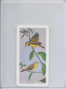 1970 Bachman's Warbler National Wildlife In Danger Federation Card #28 Series 13 - Picture 1 of 2