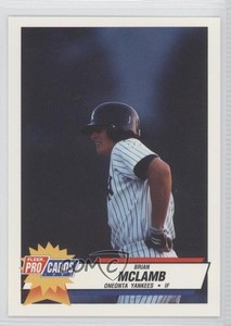 1993 Fleer ProCards Minor League Brian McLamb #3511