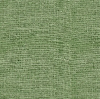 Scarlet Beauty by Timeless Treasures Green Burlap Look Cotton Fabric by The Yard - Image 1 of 3