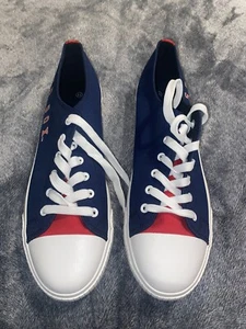 BOSTON RED SOX Men's Boston Red Sox FOCO Tonal Wordmark Canvas Shoe Size 11 - Picture 1 of 8