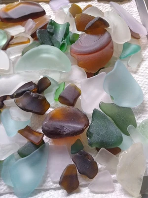 Machine Tumbled Old Glass & Pottery with Sea Glass Finish 11.5 lbs - Image 1 of 4