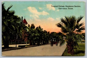 Vintage tropisches Laub Residenz Abschnitt Galveston Texas Postkarte - Bild 1 von 2