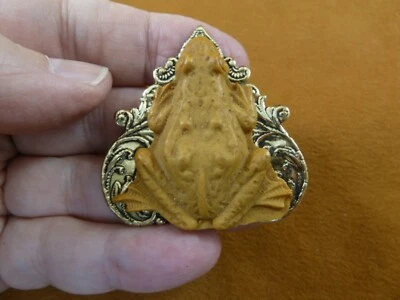 CM146-1) Rana Color Blanco CAMEO Pin Colgante Joyería Broche Amor Anfibios Ranas Foto 1 de 2