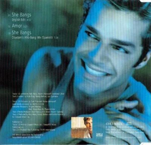 She Bangs Ricky Martin CD 2000 Free UK P&P Top-quality - Picture 1 of 8