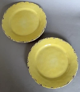 2 PLACAS TOMMY BAHAMA Melamina 9 pulgadas Amarillo Rústico Crackle Envío Gratis - Imagen 1 de 5