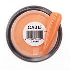 Glam and Glits Color Acrylic Powder - CAC315 CHARO 28g/1oz