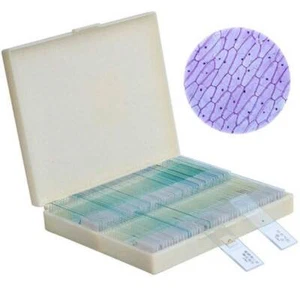 100PCS Educational Specimen Lab Biological Prepared Glass Microscope Slides - Picture 1 of 12