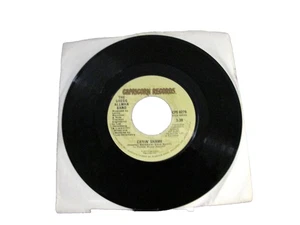 45 RECORD - GREGG ALLMAN BAND - CRYIN SHAME - Foto 1 di 1