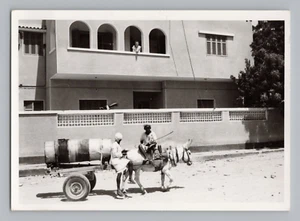 Donkey & Driver Hauling Water Photo Photograph B1 - Picture 1 of 2