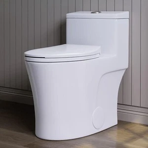 Elongated One Piece Toilet W/ ADA 17.3" seat Dual Flush MAP 1000g Matte White - Picture 1 of 8