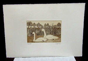 Original Radierungen Margit Ewert - Jahr 1981 - 2 Schwäne Nummer -/175 - Bild 1 von 6