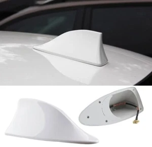 Antenna Pinna Squalo Per Fiat 500 Panda Bravo Tipo Grande Punto Evo 500X FM/AM - Foto 1 di 6