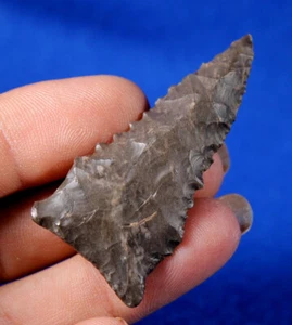 Dalton Classic Point COA Authentic Prehistoric Arrowhead Artifact Native Indian - Picture 1 of 7