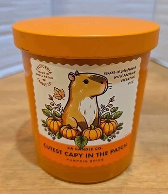 Leoben Co. Cutest Cappy In The Patch Scented Candle 9 oz Single Wick Vegan Wax - Image 1 of 4