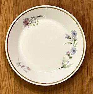 RICHARD GINORI Primavera Piattino Tazza da Tè Diametro 5 1/2” Fine Bone China dall’Italia - Foto 1 di 4