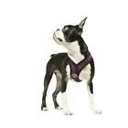 Gooby Comfort X Small Breed Dog Harness Choke Free - Safe Head In Style S M L XL