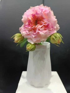 Cement vase for creative decor, made of cement - Picture 1 of 6