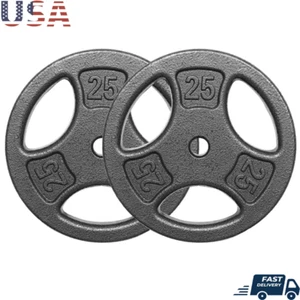 50LB Cast Iron Standard Weight Plate Set 2x25LB1-in Holes Fit Standard Sized Bar - Picture 1 of 8