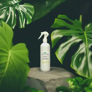 Neem Foliar Plant and Soil Spray, Wipe, Clean, Shine and Feed your Plants - Picture 1 of 11