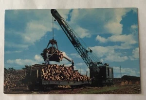 Verladen von Zellstoff für den Transport zur Papierfabrik, Wisconsin. Ak (G2) - Bild 1 von 2