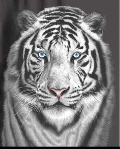 3D Animal Print Effect Mink Faux Fur Throw Soft 150X200cm White Tiger - Picture 1 of 1