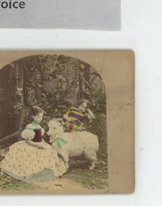 Feeding the Goat Victorian Genre Stereoview c1860 - Bild 1 von 2