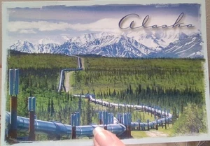 2 Alaska Postkarten (NEU, ungebraucht) - Bild 1 von 2