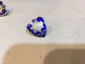 Vintage California Pin Medaille CSEA Chapter 206 - Bild 1 von 1
