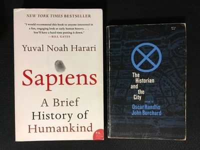 Lot SAPIENS History of Humankind by Yuval Noah Harari + HISTORIAN AND THE CITY Foto 1 de 3