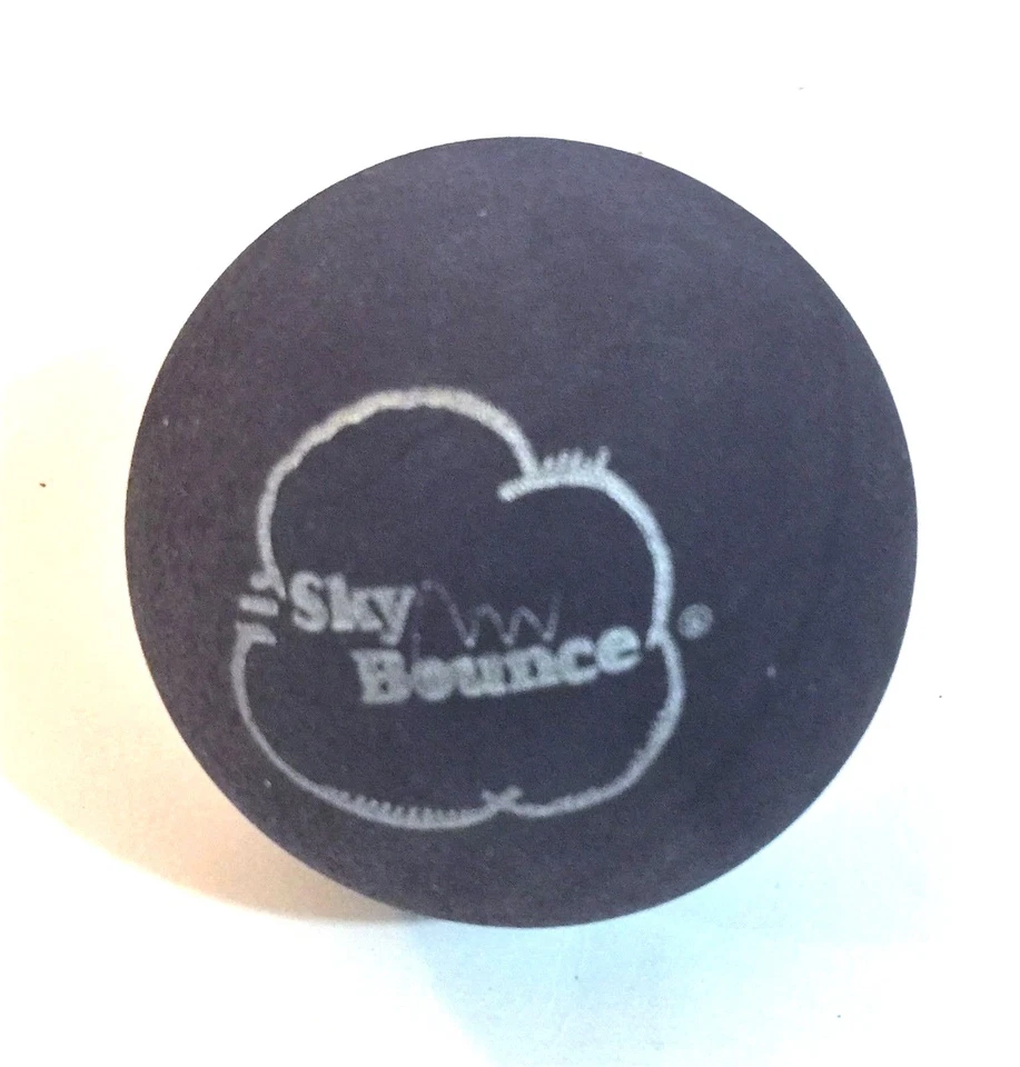 6 BOLAS DE REBOTE DEL CIELO (PÚRPURA OSCURO) COLOR - BOLAS DE MANO / BOLA DE RAQUETA NUEVAS   Foto 1 de 1