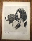 BEAUTIFUL 1931 Bert Cobb dry point etching print BASSETT HOUND dogs-Runt/Pippin