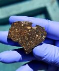 Meteorite**NWA 15662, LL3**11.481 gram Amazing slice W/unequilibrated chondrules