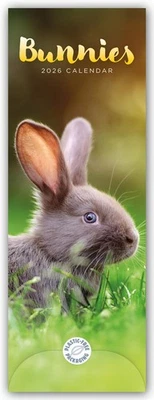 BROWNTROUT VERLAGS GMBH Bunnies - Hasen - Kaninchen 2026 - Slimline-Kalender Carousel Calendar