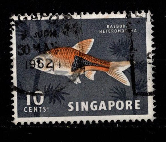 Singapur, Sc #57, USADO, 1962, vida marina, peces, peces arlequín Foto 1 de 1