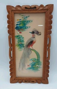 Vintage Mexican Feather Art Framed with Glass Bird Folk Art Feathercraft - Picture 1 of 11