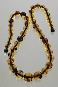 Genuine BALTIC AMBER Greenish Round Shape Beads 16-7mm Necklace 34g 231206-2 - Picture 1 of 8