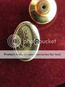 Vintage Terryberry Mitarbeiter Pin 10K Gold gefüllt Zweig ? Logo Green Stone Box - Bild 1 von 1