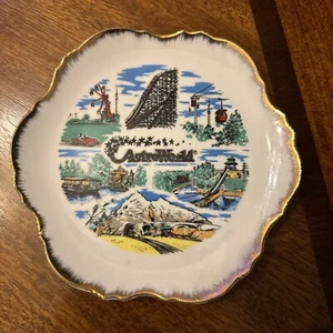 Gorgeous Astroworld Theme Park Houston, TX 7” Commemorative Plate - Picture 1 of 2