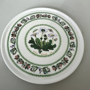 Portmeirion Botanischer Garten Kunststoff Susan William Ellis Untersetzer Gänseblümchen England - Bild 1 von 7