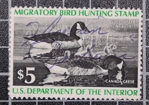 Scott RW43 - $5.00 1976 Duck Stamp - Used - SCV - $5.00 - Picture 1 of 1